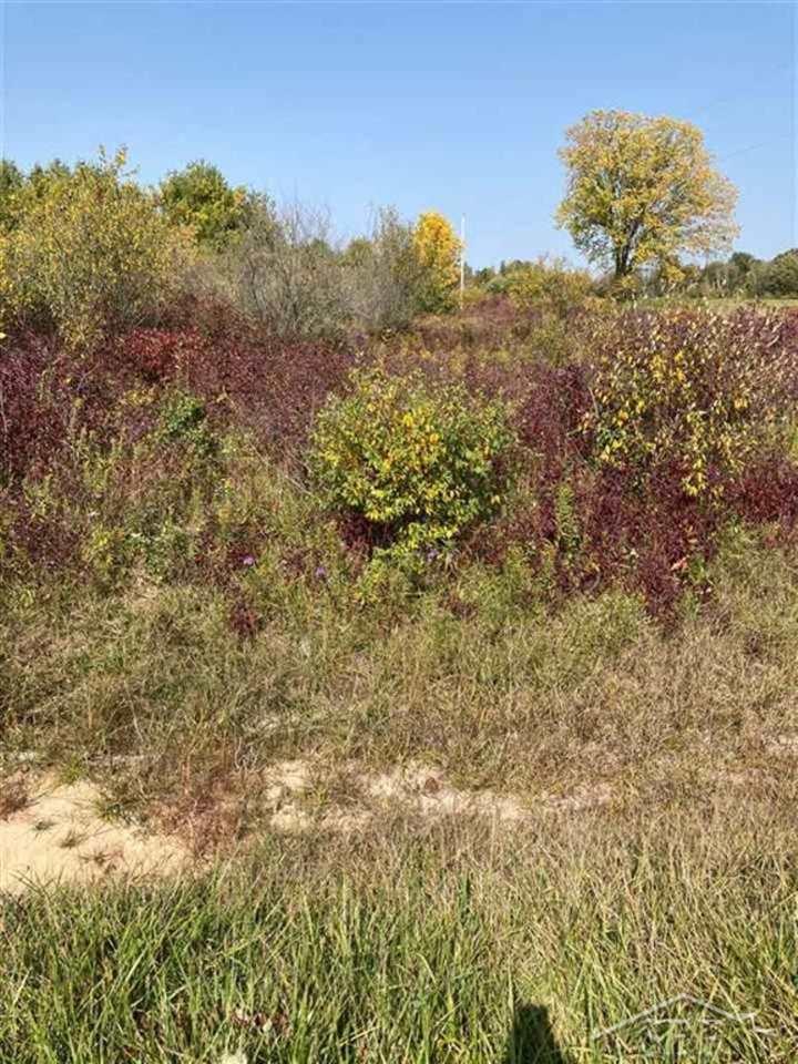 Vl Hunter Road Beaverton, MI 48612 - Photo 1 of 1