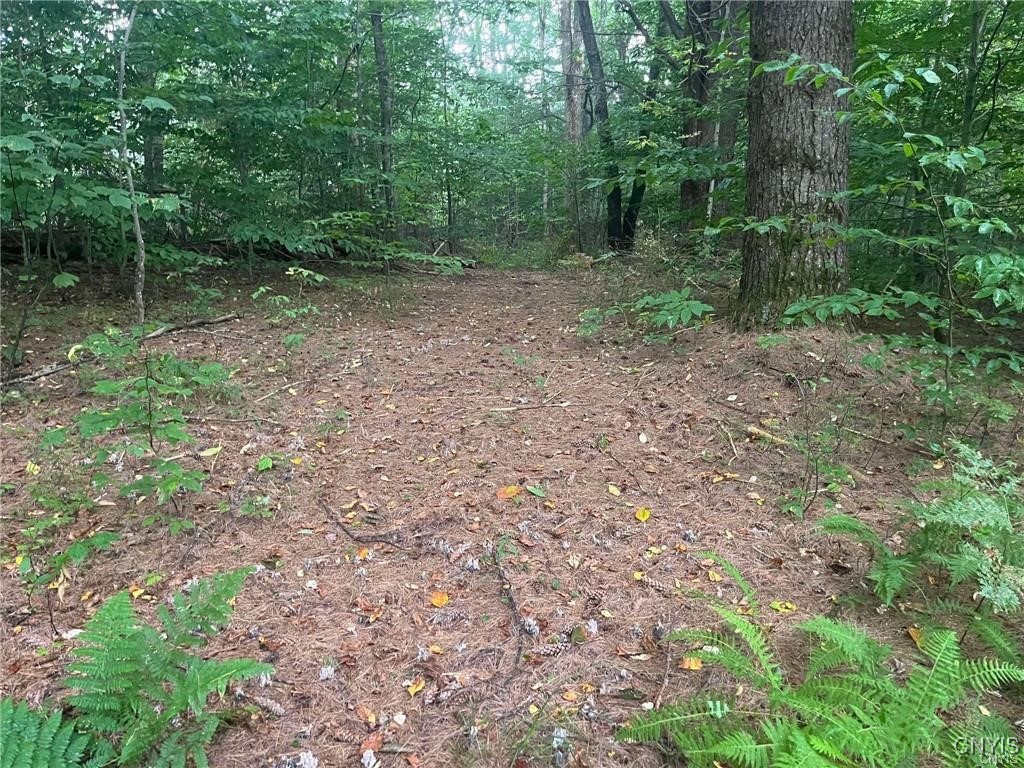 671 Waterbury Road Redfield, NY 13437 - Photo 1 of 13