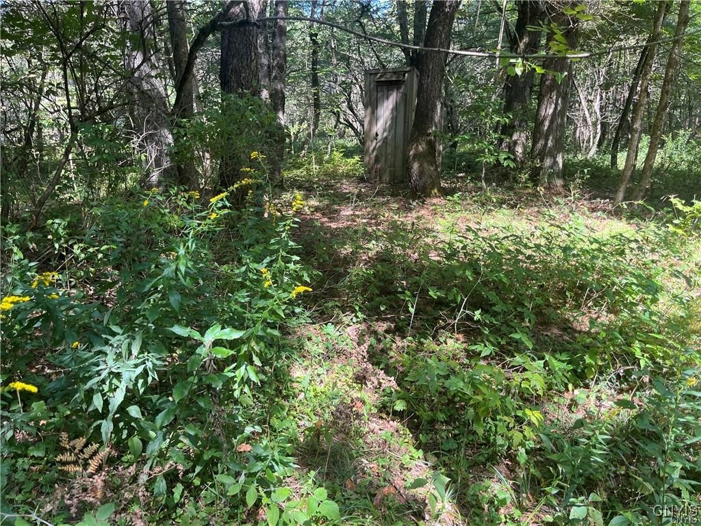 671 Waterbury Road Redfield, NY 13437 - Photo 3 of 13