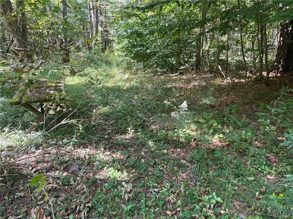 671 Waterbury Road Redfield, NY 13437 - Photo 4 of 13