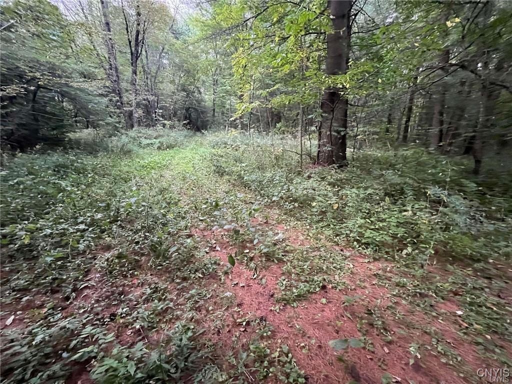 671 Waterbury Road Redfield, NY 13437 - Photo 5 of 13
