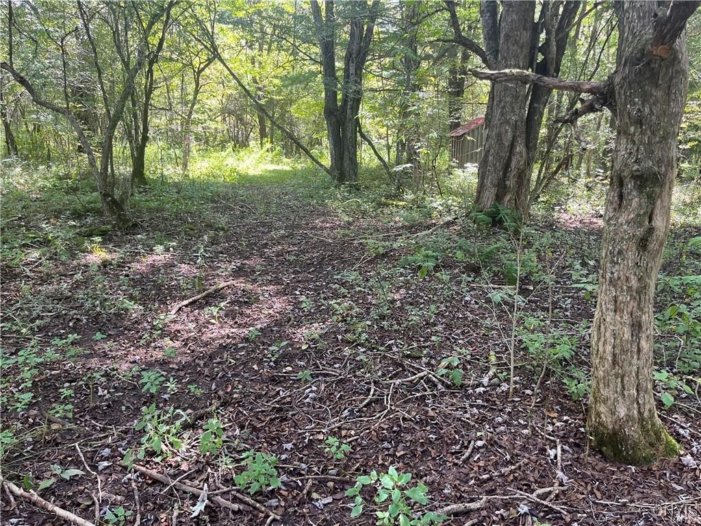 671 Waterbury Road Redfield, NY 13437 - Photo 6 of 13