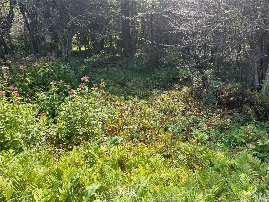 671 Waterbury Road Redfield, NY 13437 - Photo 7 of 13