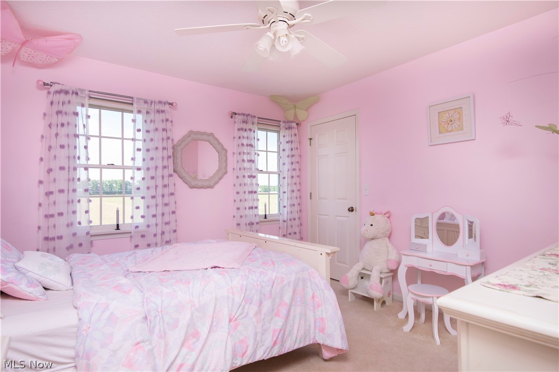3850 West Calla Road Canfield, OH 44406 - Photo 18 of 34 Gallery Image 18