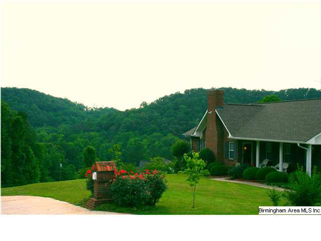 179 Dorr Road Oneonta, AL 35121 - Photo 2 of 21