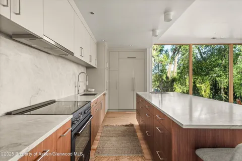 $4,090,000 | 103 Willow Road, Unit 107, Basalt, CO 81621