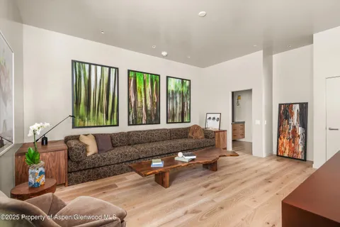 $4,090,000 | 103 Willow Road, Unit 107, Basalt, CO 81621