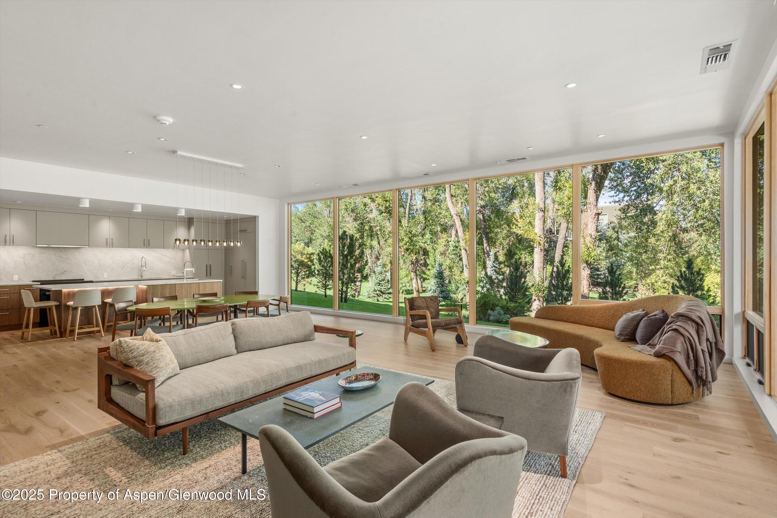 103 Willow Road, Unit 107 Basalt, CO 81621 - Photo 6 of 23 a living room with furniture and a large window