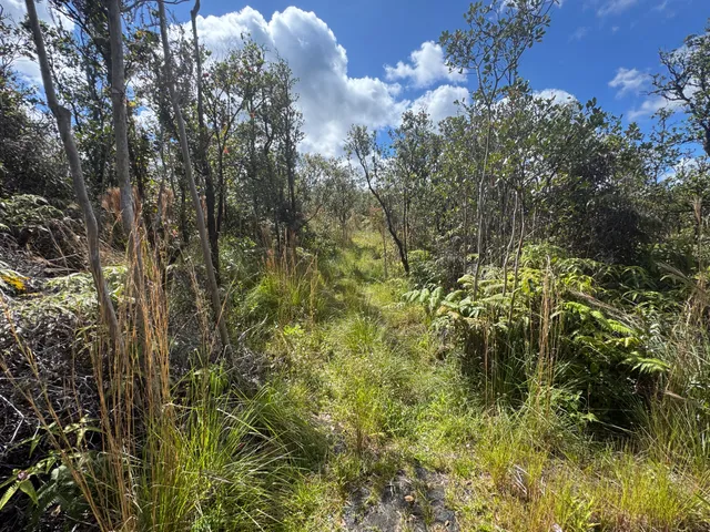 $75,000 | 35 Mailenani Road, Mountain View, HI 96771