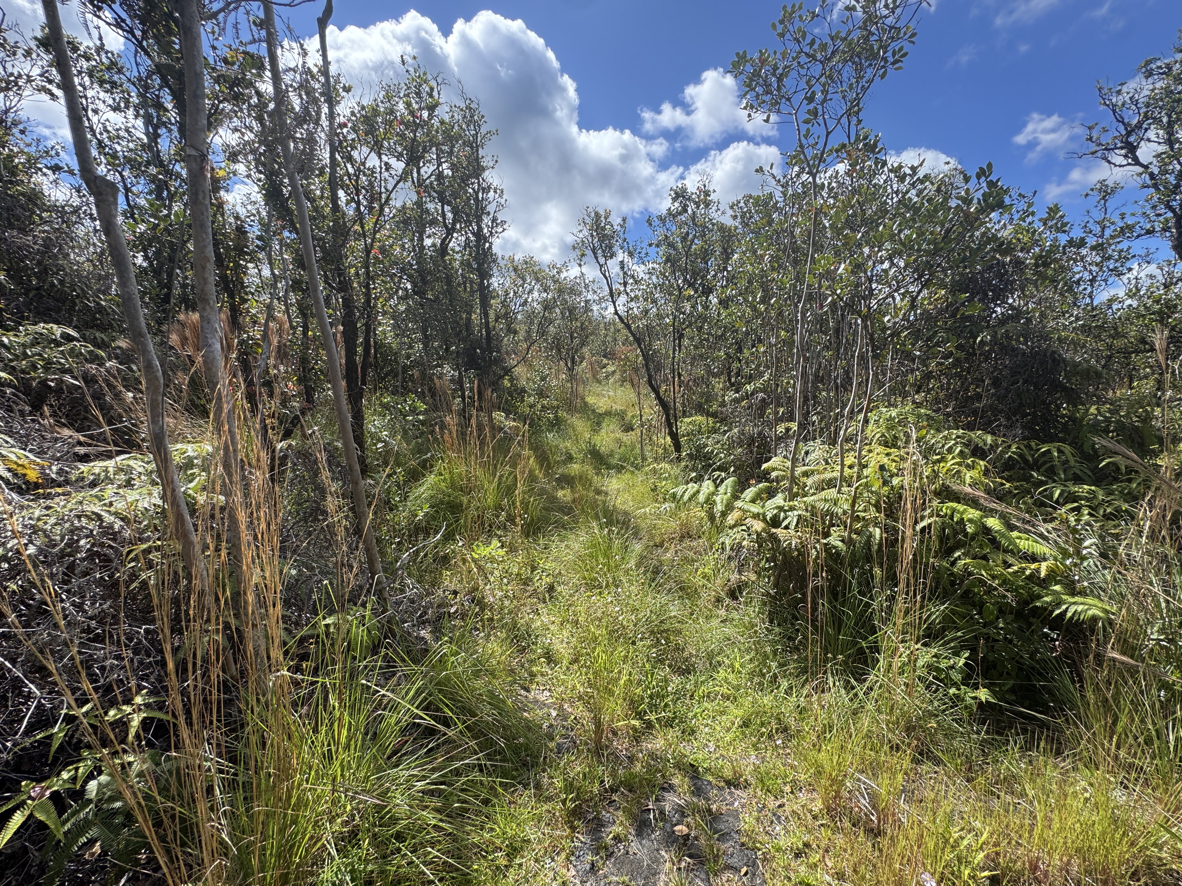 35 Mailenani Road Mountain View, HI 96771 - Photo 14 of 15