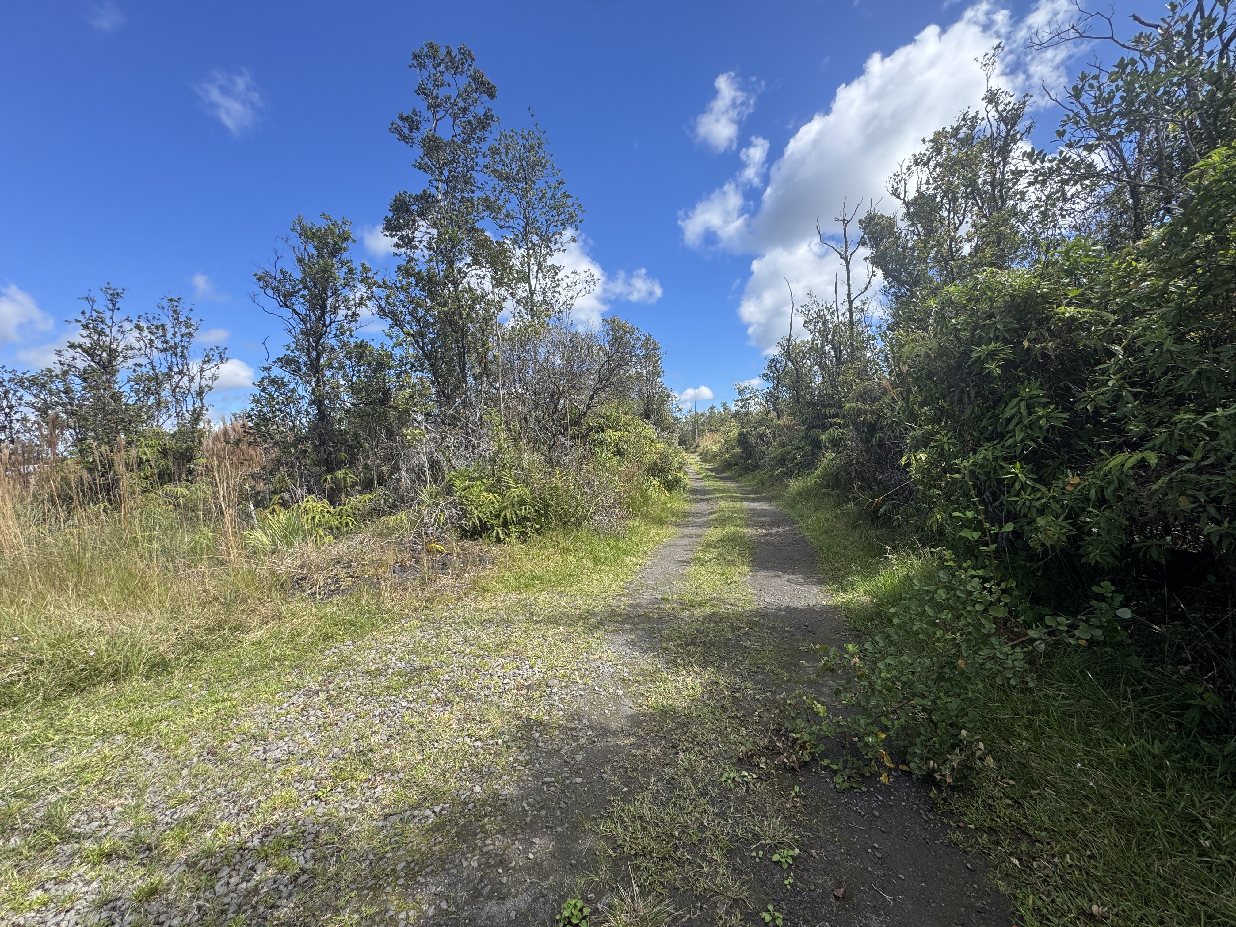 35 Mailenani Road Mountain View, HI 96771 - Photo 5 of 15