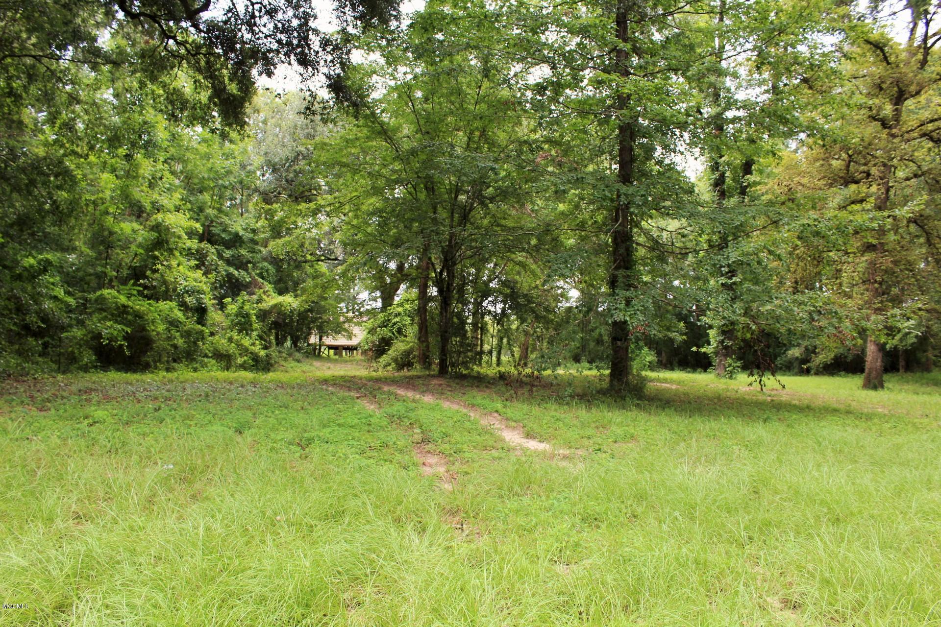 141 River Bend Road Lucedale, MS 39452 - Photo 21 of 24 IMG_7449