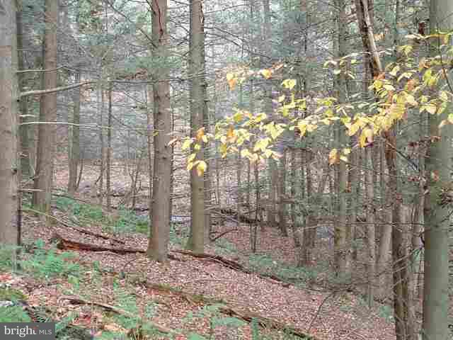 201 Cold Storage Road Newport, PA 17074 - Photo 9 of 11 Gallery Image 9