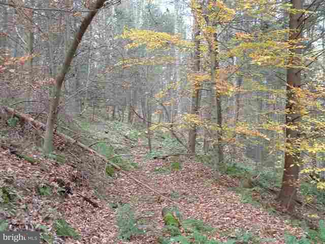 201 Cold Storage Road Newport, PA 17074 - Photo 10 of 11 Gallery Image 10