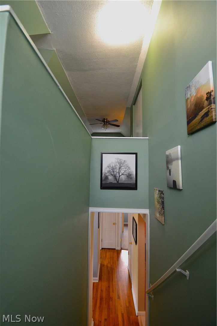 1263 Irene Road Lyndhurst, OH 44124 - Photo 15 of 26 Stairs leading the master oasis!