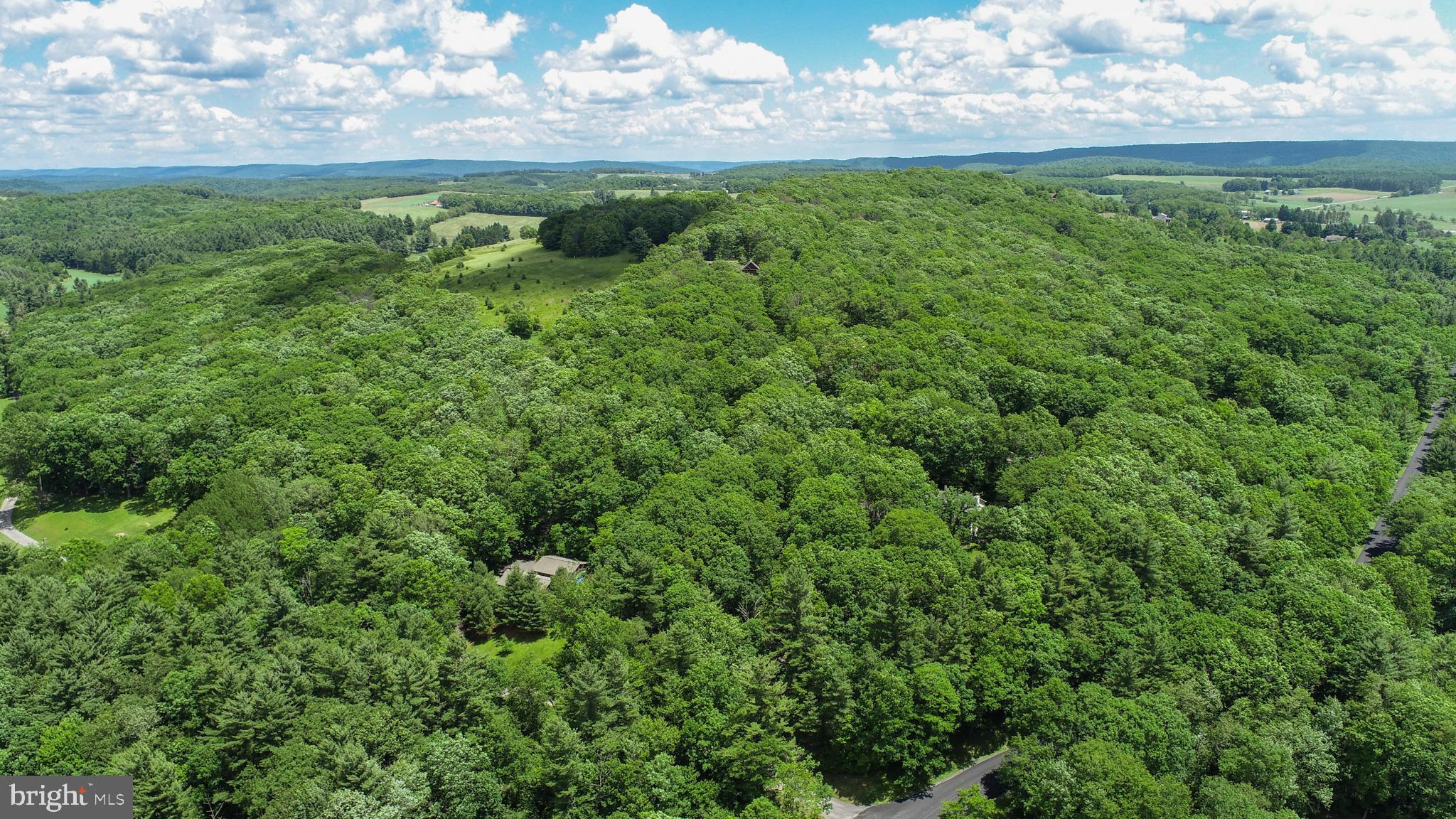 North Glade Road Swanton, MD 21561 - Photo 11 of 16