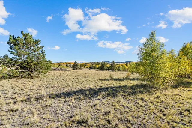 a view of a backyard of the house