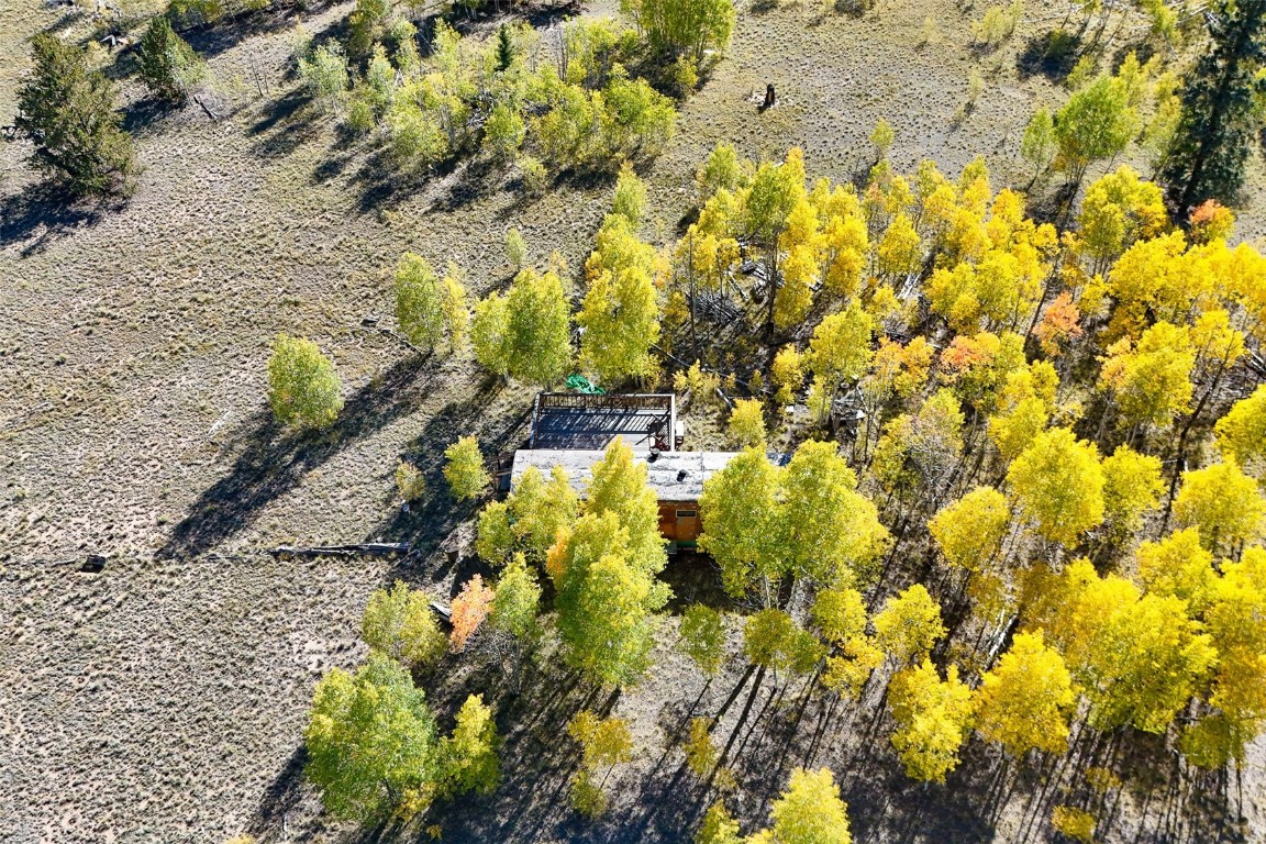 1404 Buffalo Ridge Road Como, CO 80432 - Photo 9 of 50 a view of a yard with plants and large trees