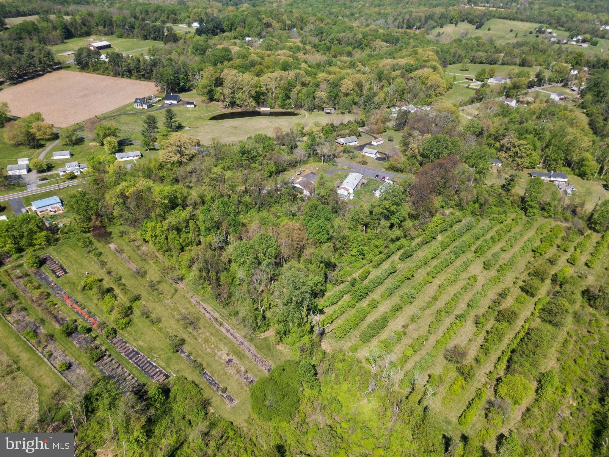 2302 Castleton Road Darlington, MD 21034 - Photo 5 of 14 a view of a bunch of trees and bushes