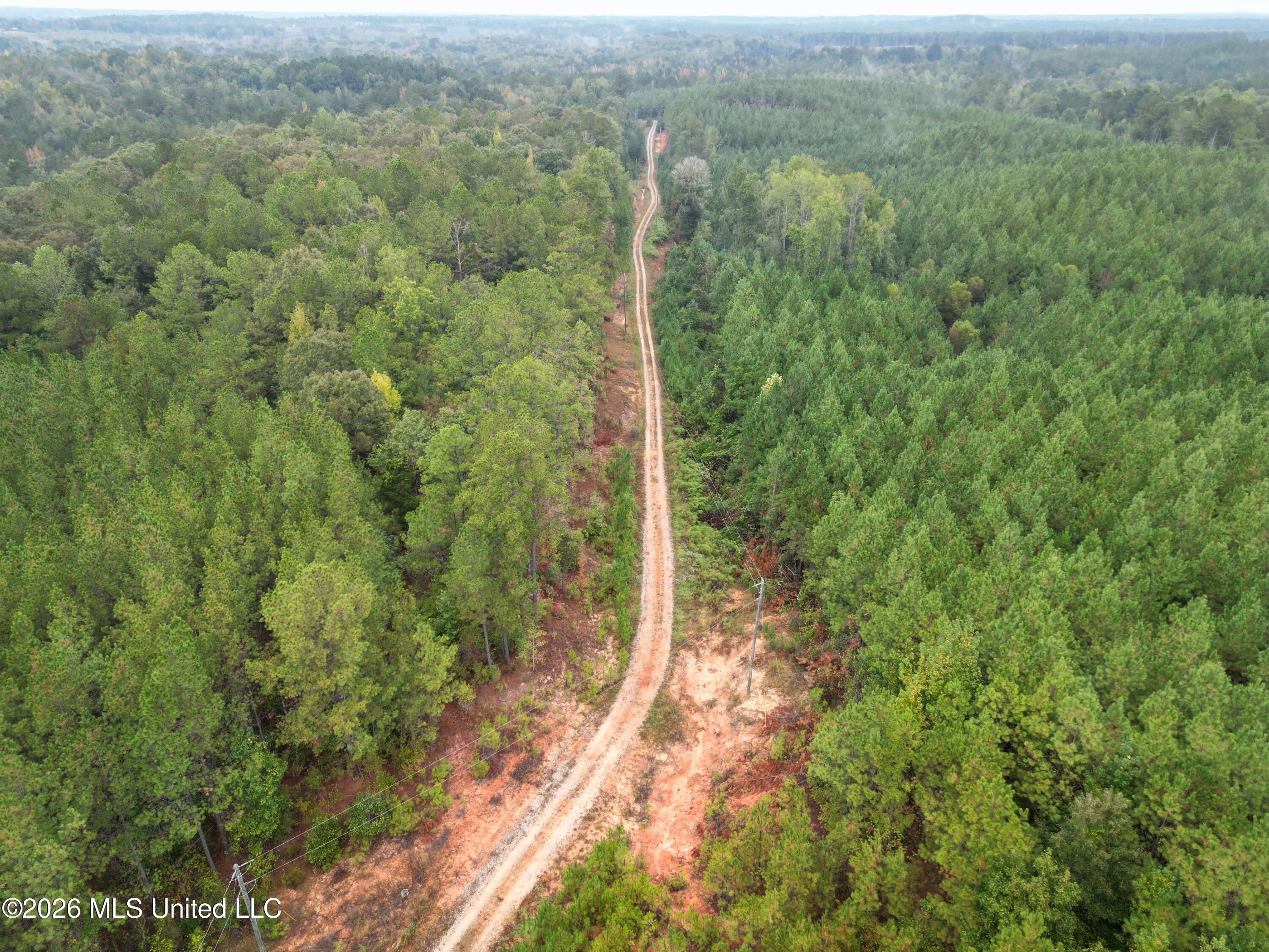 1015 St Anne Road Carthage, MS 39051 - Photo 19 of 45 DJI_0296