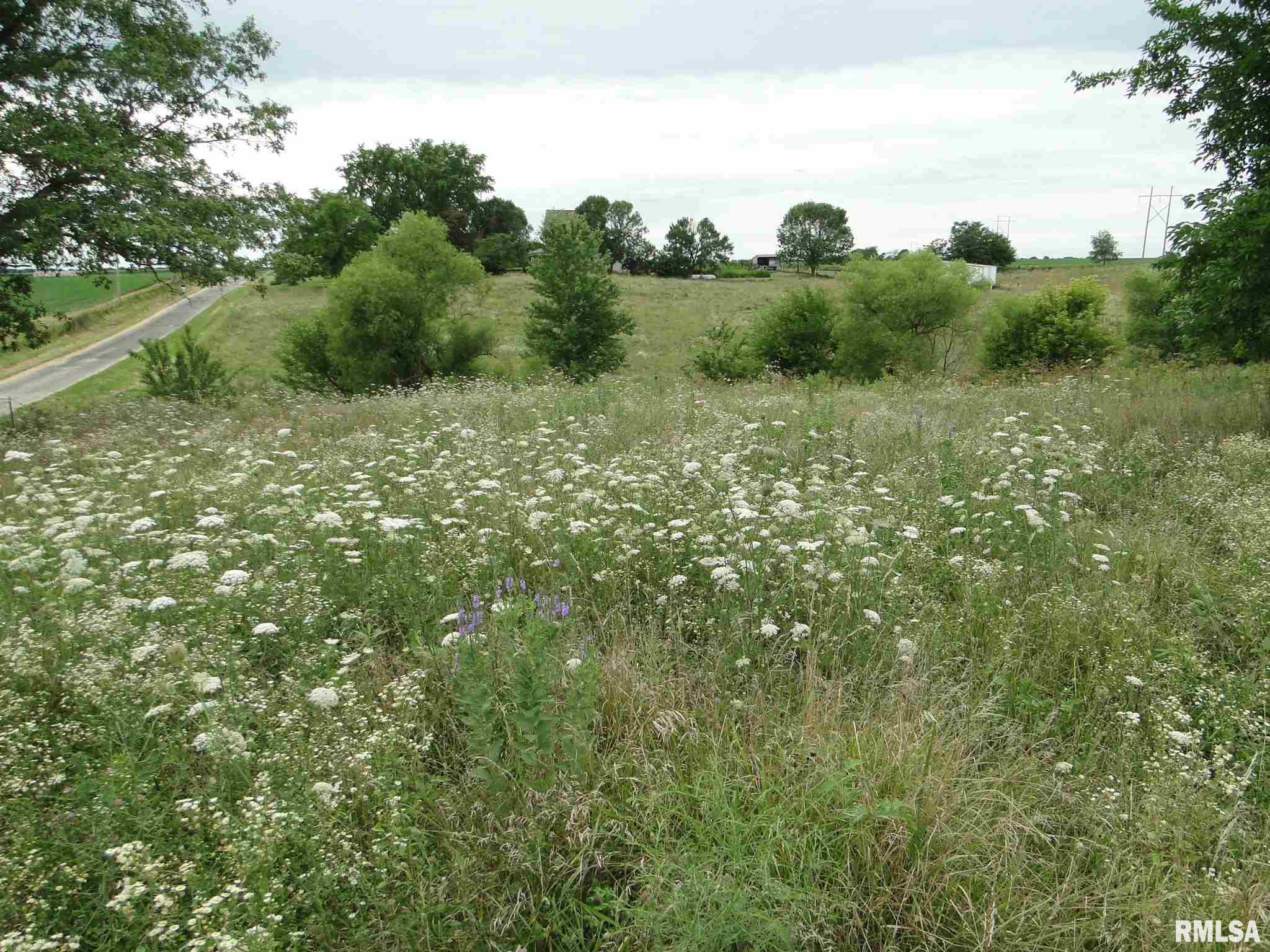 17360 North 800th Road Macomb, IL 61455 - Photo 33 of 37