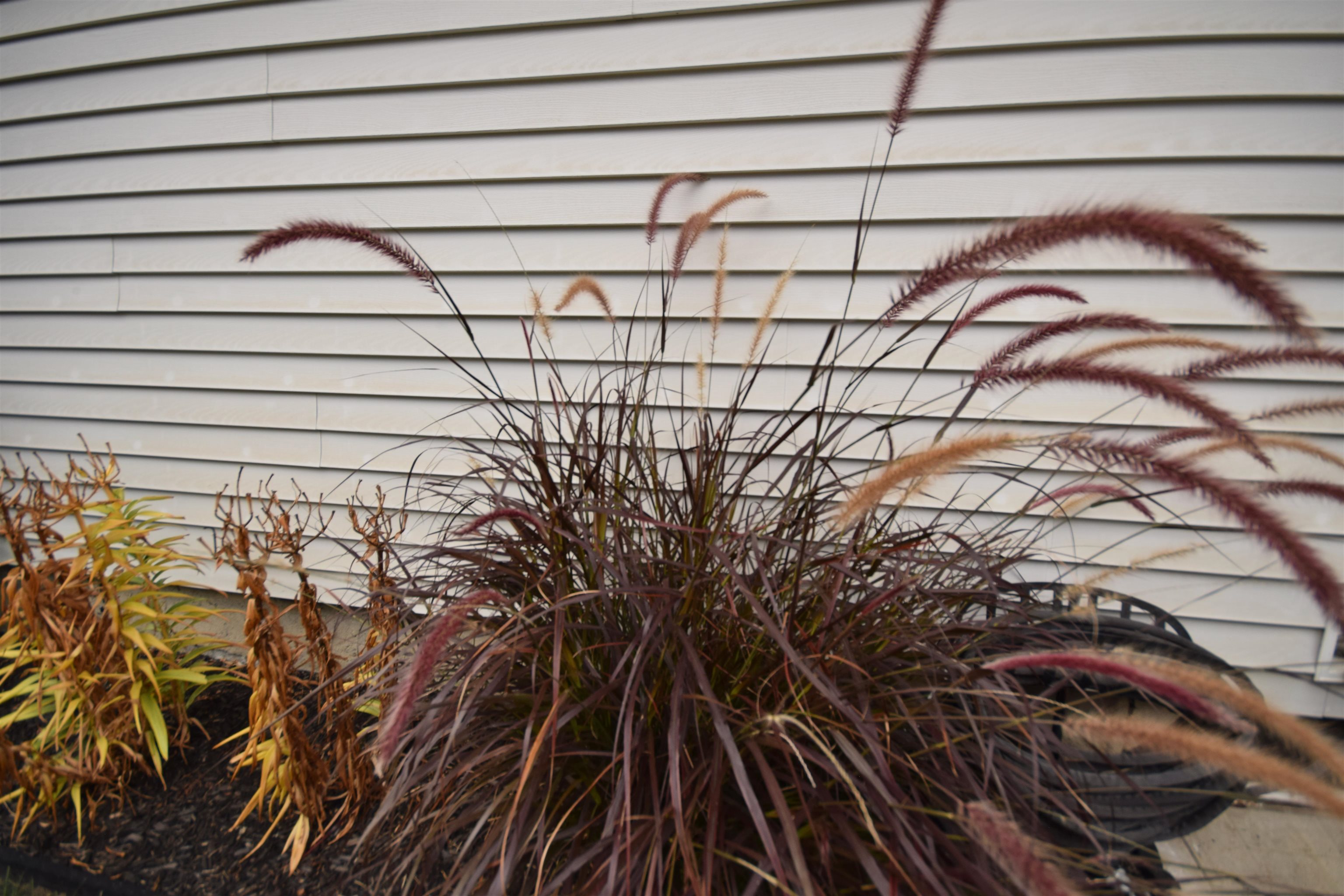 54 Faith Street Burlington, VT 05408 - Photo 33 of 34