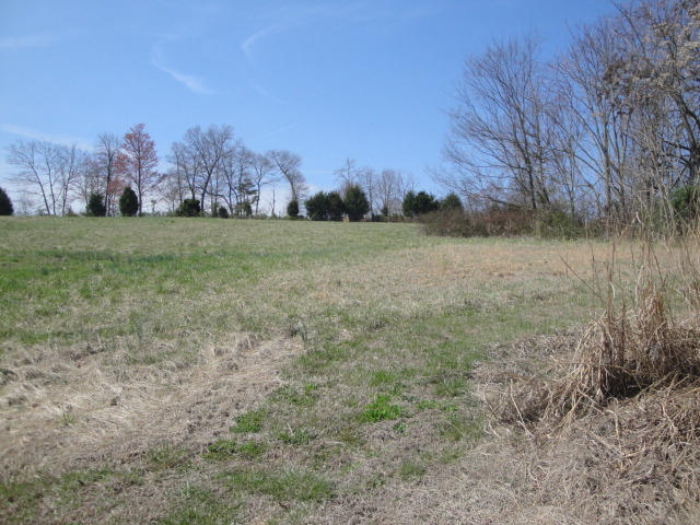 Lot 37 Chippewa Lane Rutledge, TN 37861 - Photo 3 of 3 Lot 37 (2)