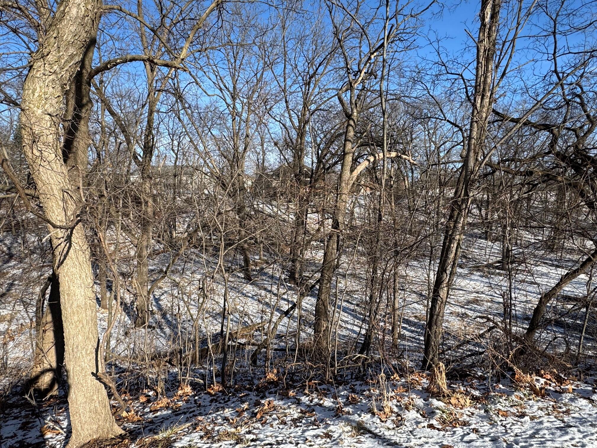 1540 Prestwick Place Geneva, WI 53147 - Photo 3 of 3 Wooded Lot