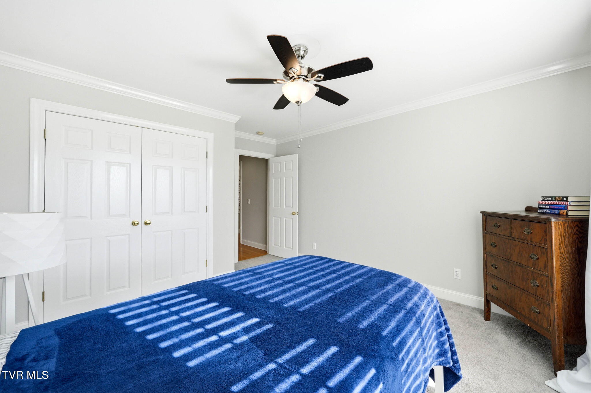 122 Chestnut Ridge Drive Jonesborough, TN 37659 - Photo 41 of 69 36-web-or-mls-122 Chestnut Ridge Dr-41