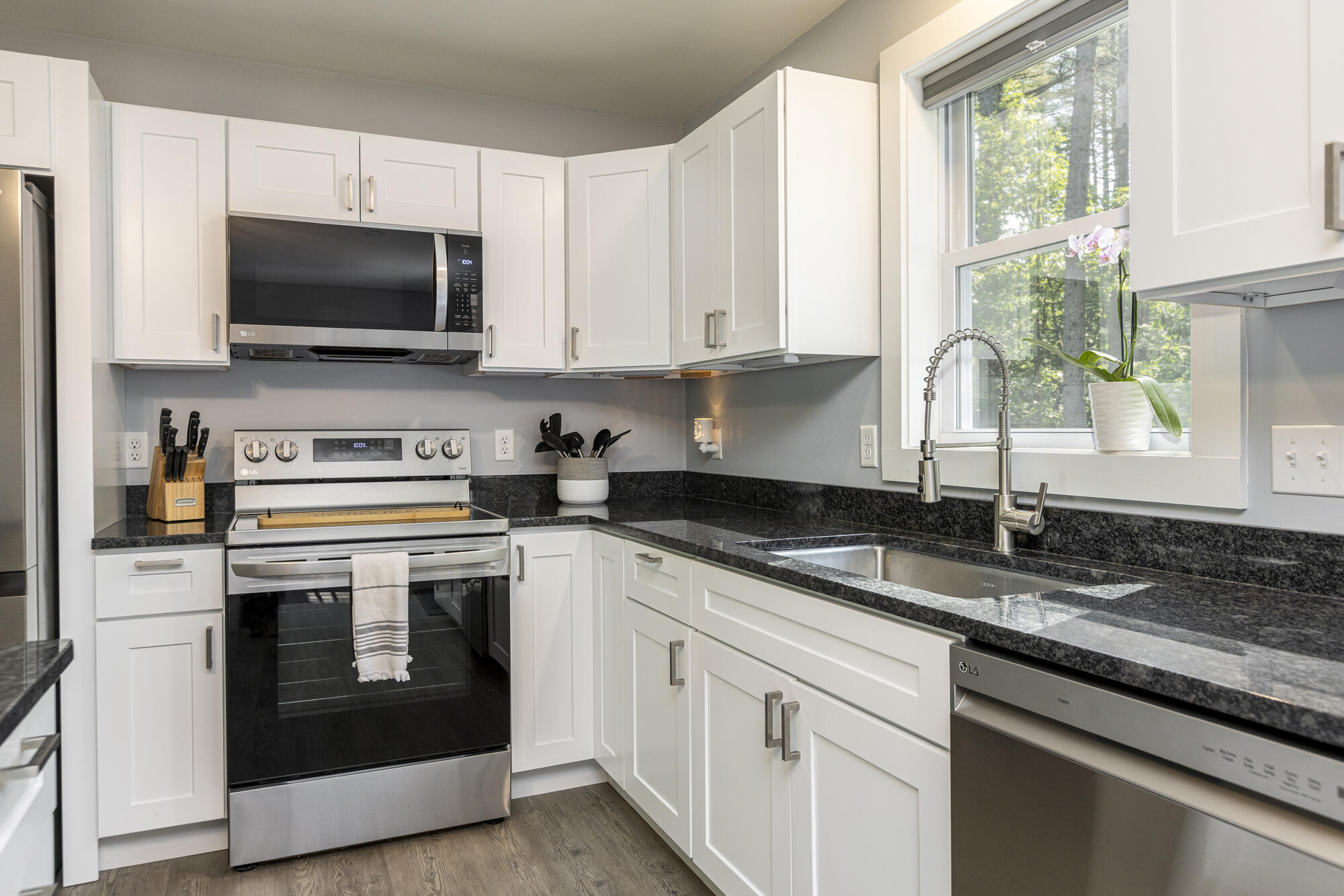 50 Silver Lane Limerick, ME 04048 - Photo 4 of 29 50 Silver Lane_006