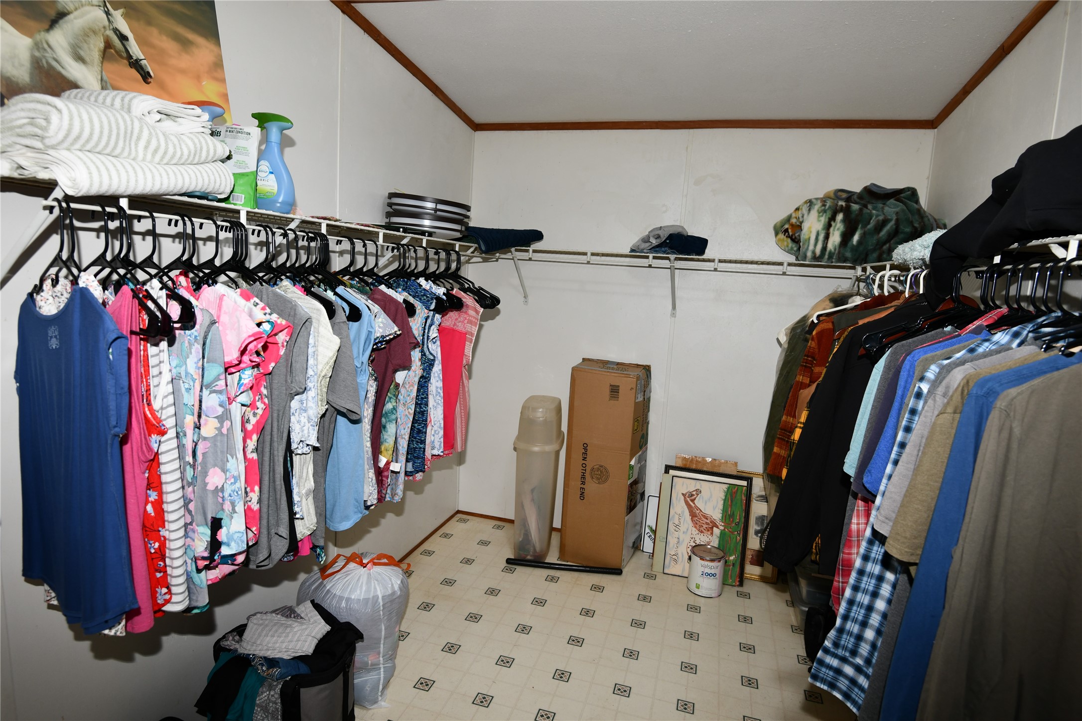 101 Pinewood Drive Shepherd, TX 77371 - Photo 24 of 37 Primary Walkin Closet