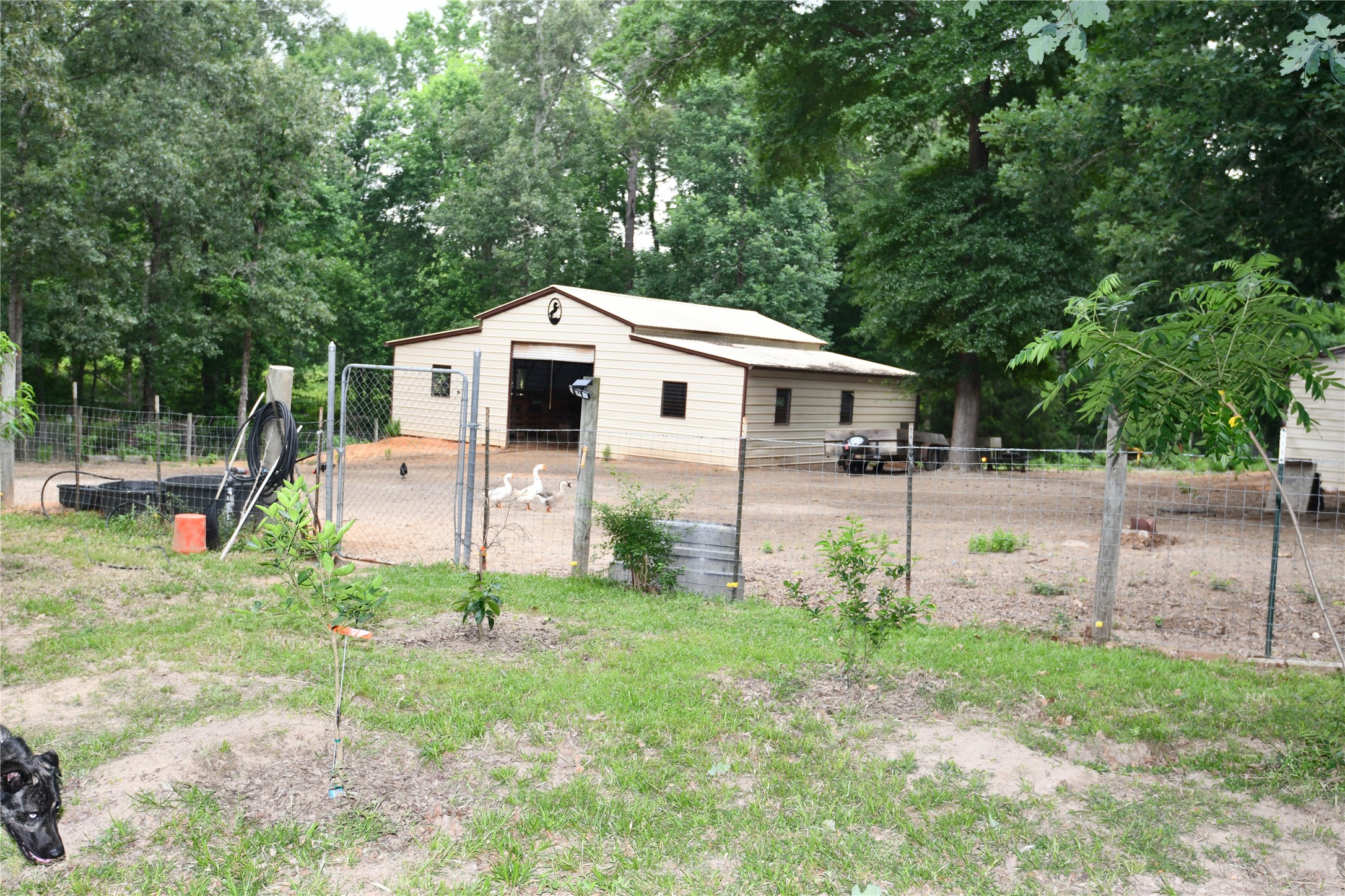 101 Pinewood Drive Shepherd, TX 77371 - Photo 31 of 37 Barn at Rear of Property