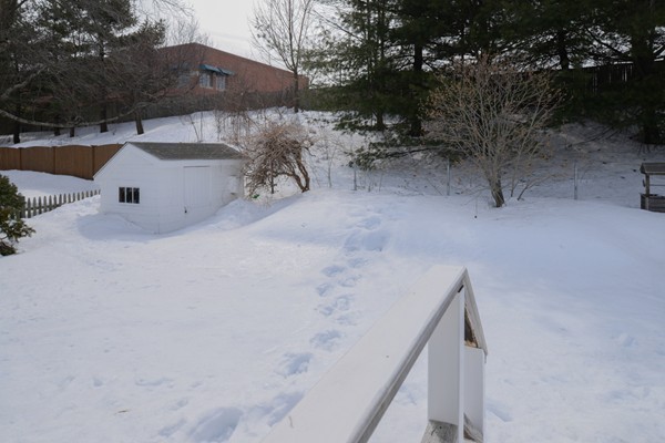 3 Reynolds Road Peabody, MA 01960 - Photo 20 of 25 Gallery Image 20