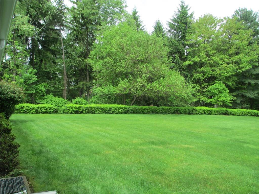 115 West Chapel Ridge Road Pittsburgh, PA 15238 - Photo 21 of 21 Backyard from Kitchen