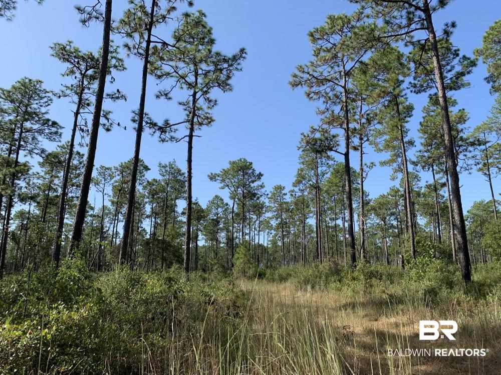 0 Three 3 Rivers Road Seminole, AL 36574 - Photo 17 of 27