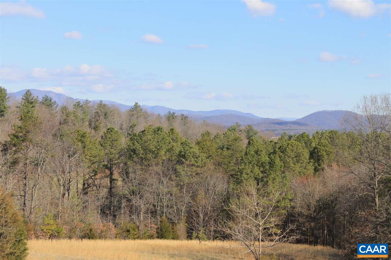 730 River Road Madison, VA 22727 - Photo 7 of 23 a view of a city with lush green forest