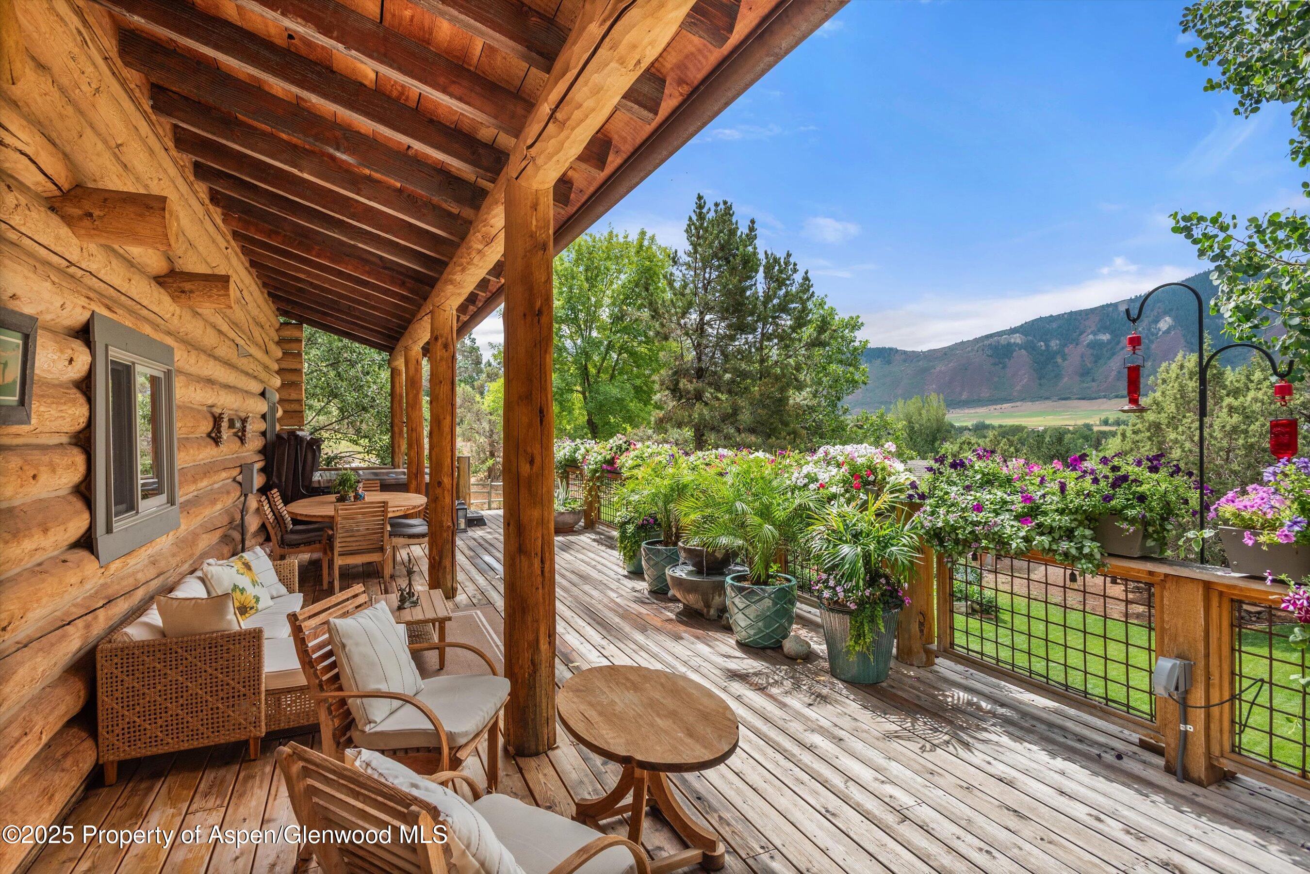 Back deck