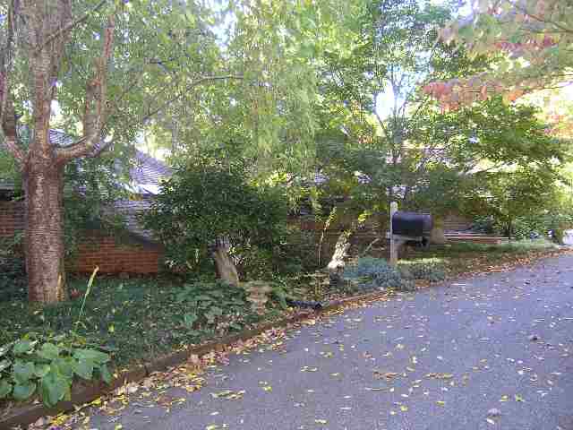 375 Vintage Road Tryon, NC 28782 - Photo 1 of 9