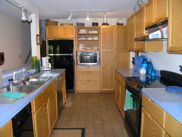 375 Vintage Road Tryon, NC 28782 - Photo 4 of 9