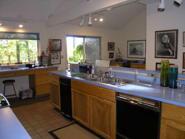 375 Vintage Road Tryon, NC 28782 - Photo 5 of 9