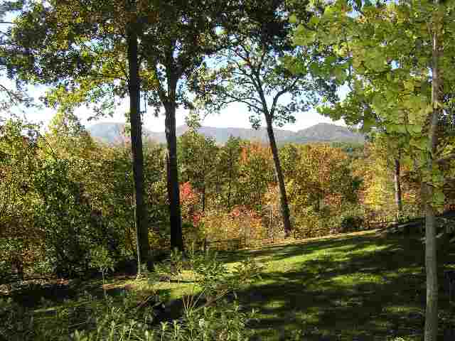 375 Vintage Road Tryon, NC 28782 - Photo 7 of 9