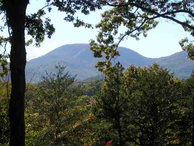 375 Vintage Road Tryon, NC 28782 - Photo 8 of 9