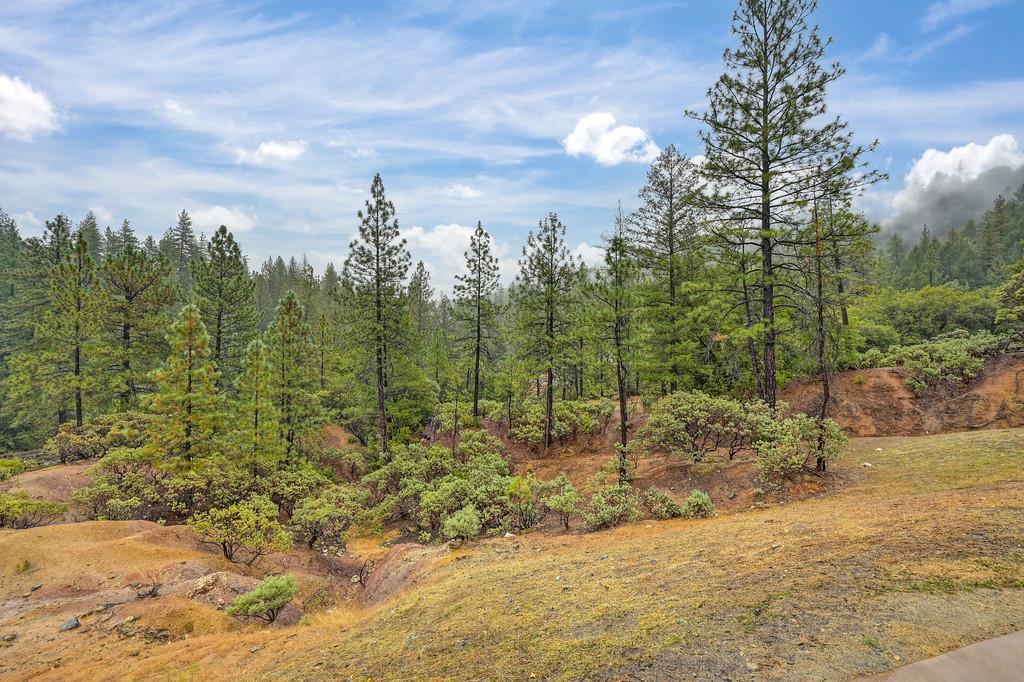 3960 Fort Jim Road Placerville, CA 95667 - Photo 57 of 64