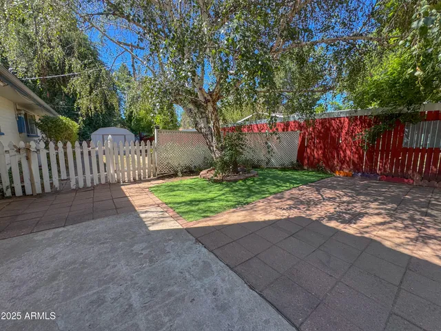 a view of a park with large trees