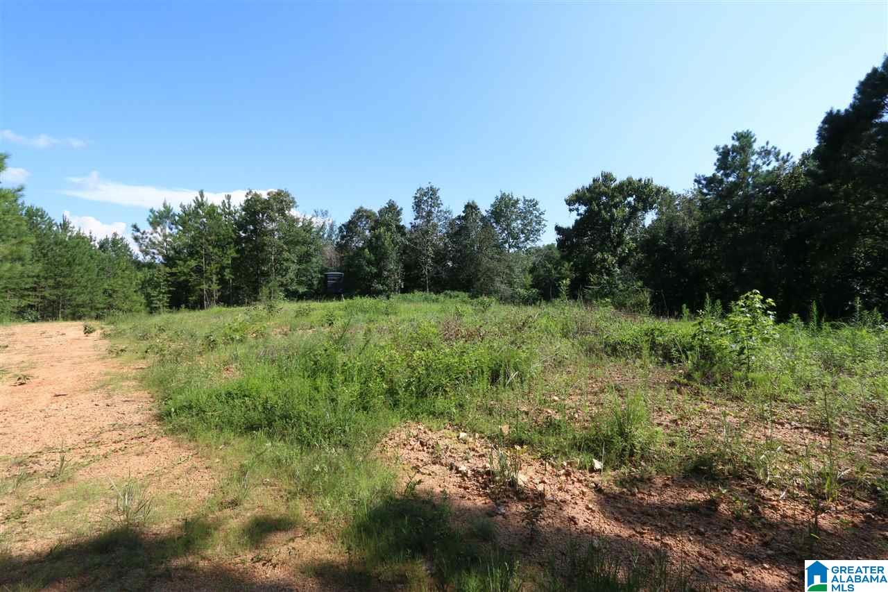 0 Carnes Chapel Road, Unit 113 Gallant, AL 35972 - Photo 25 of 32