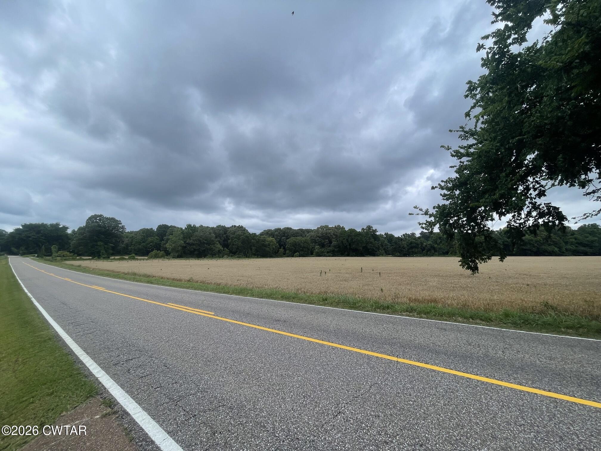 0 Old Jackson Road Gadsden, TN 38337 - Photo 6 of 23 IMG_8995