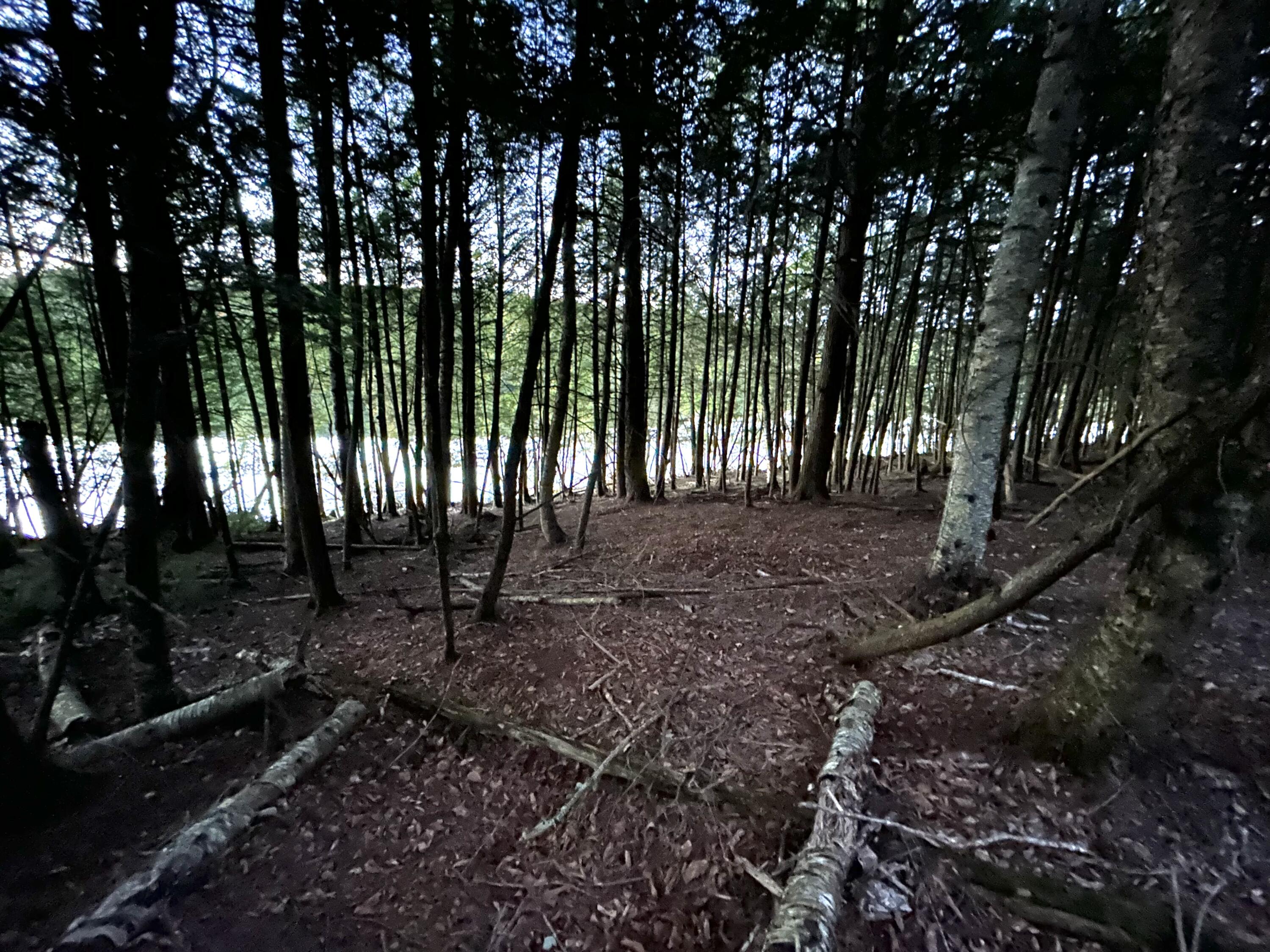 Lot #8 Kolm Road Garland, ME 04939 - Photo 6 of 17 image2