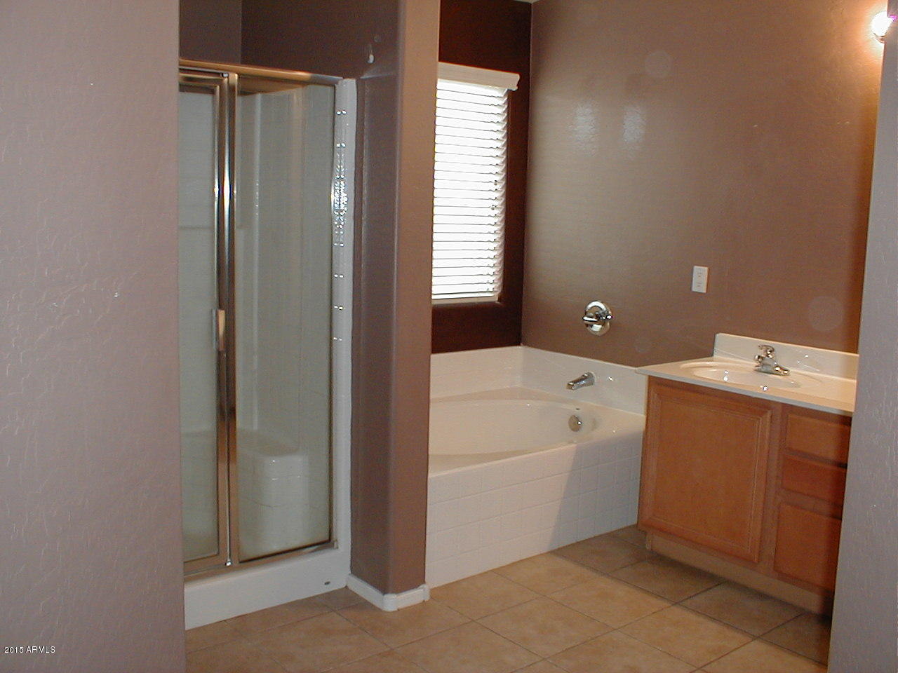 21835 East Via Del Rancho Queen Creek, AZ 85142 - Photo 8 of 12 Master bath