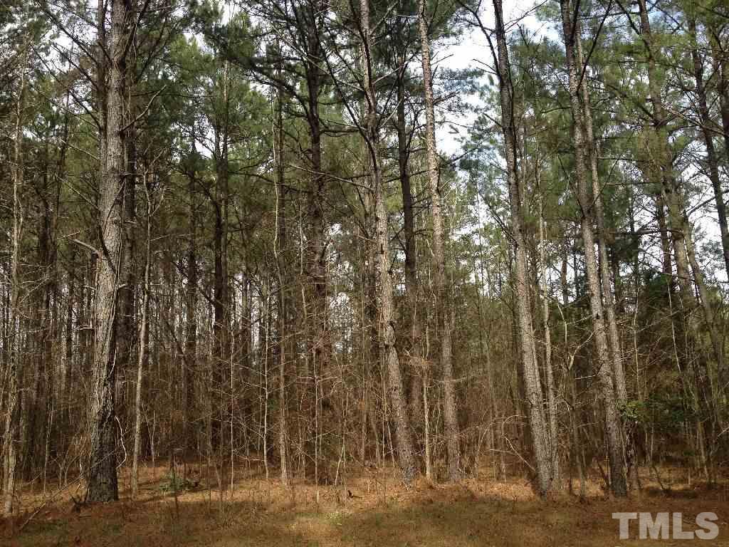98 Highway 98 Spring Hope, NC 27882 - Photo 2 of 27 Gallery Image 2