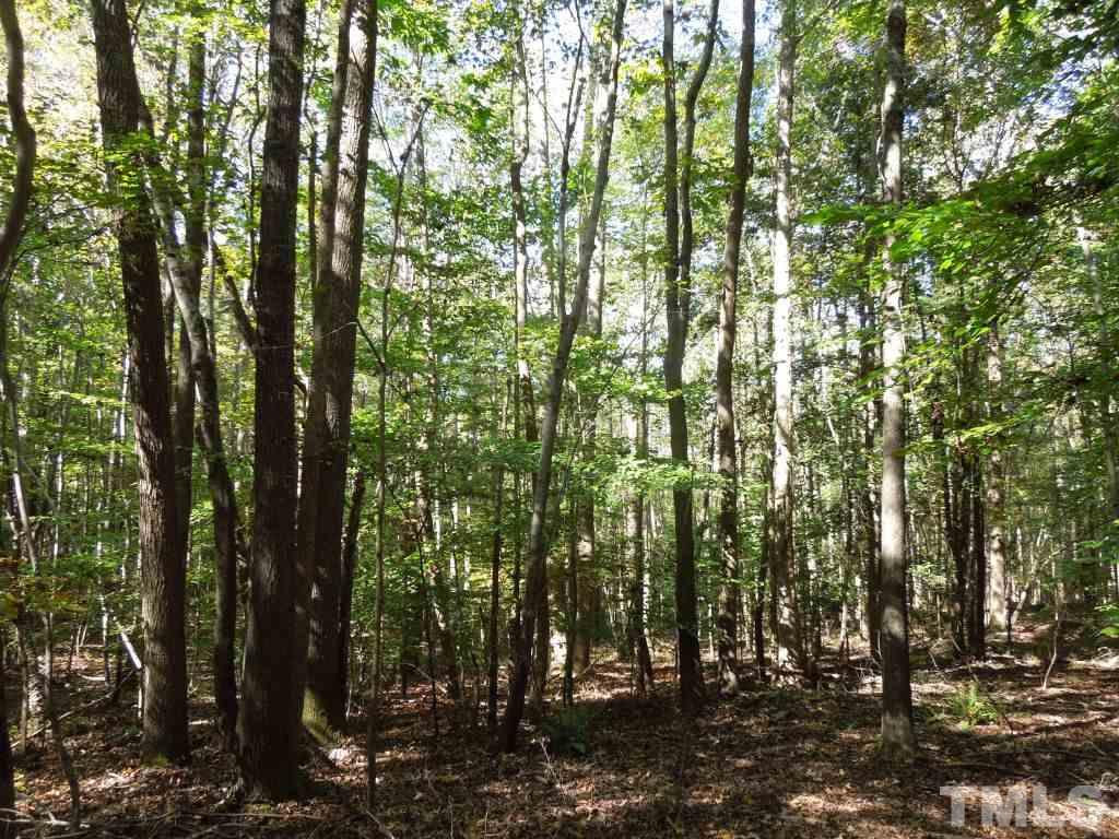 98 Highway 98 Spring Hope, NC 27882 - Photo 11 of 27 Gallery Image 11